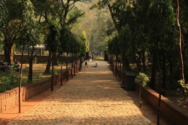 Tree-lined sandy pathway in a park with benches, brick walls, and people walking in the distance under dappled sunlight.